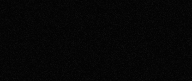 Black Friday - Brazi Artificiali - image black-friday-brazi-artificiali-esarbatoare-800x337 on https://e-sarbatoare.ro