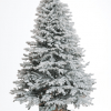 Brad artificial De Lux cu ace full 3D - IMPERIAL SNOW - image siberian_snow__1_-removebg--100x100 on https://e-sarbatoare.ro